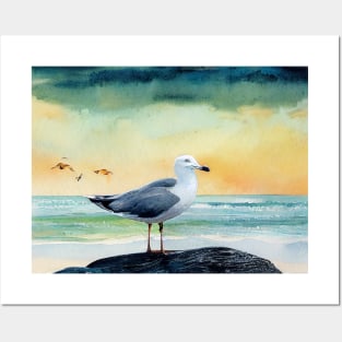 Seagull on a Rock Posters and Art